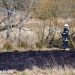 22. Mar. 2025 – Markbrand På Veerst Skovvej i Veerst.